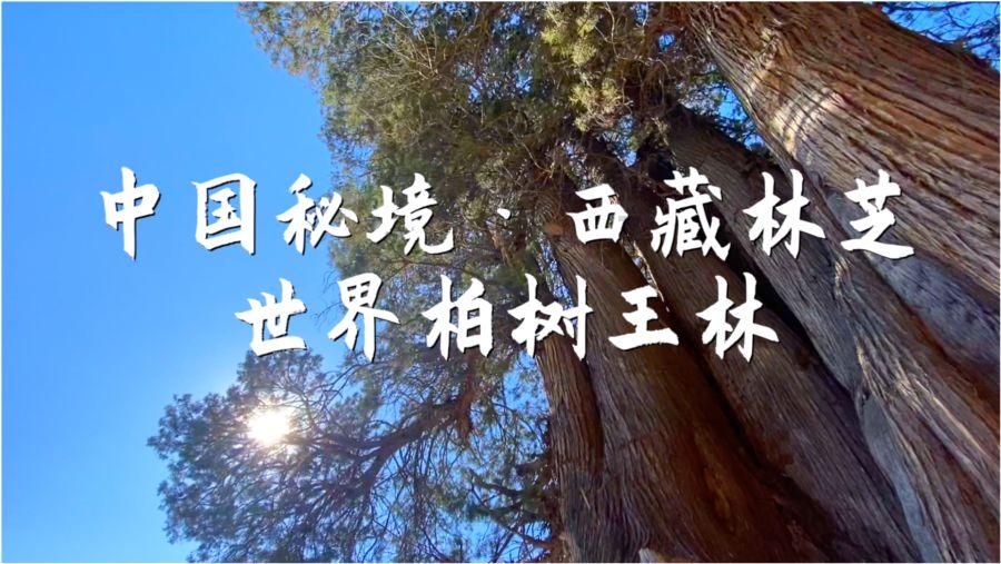 次元喵